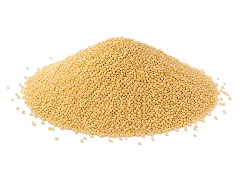 Amarantus – białko 13.6g, kalorie 371 kcal, węglowodany i tłuszcz na 100g | zdrowe odżywianie