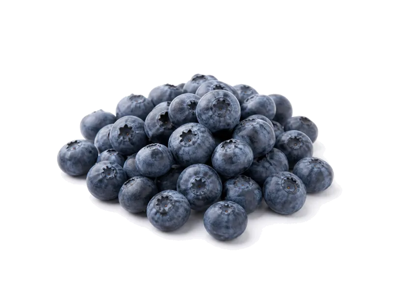 Borówka amerykańska – białko 1g, kalorie 61 kcal, węglowodany i tłuszcz na 100g | zdrowe odżywianie