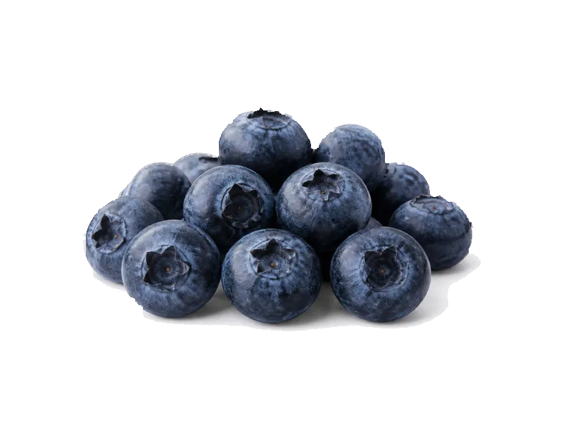 Borówki – białko 0.7g, kalorie 57 kcal, węglowodany i tłuszcz na 100g | zdrowe odżywianie