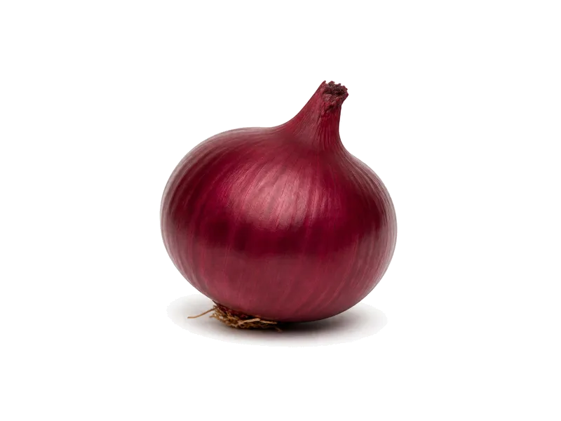 Cebula (czerwona) – białko 1.2g, kalorie 32 kcal, węglowodany i tłuszcz na 100g | zdrowe odżywianie