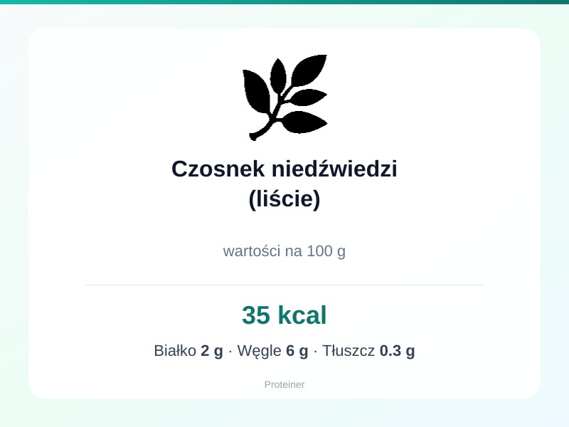 Czosnek niedźwiedzi (liście) – białko 2g, kalorie 35 kcal, węglowodany i tłuszcz na 100g | zdrowe odżywianie