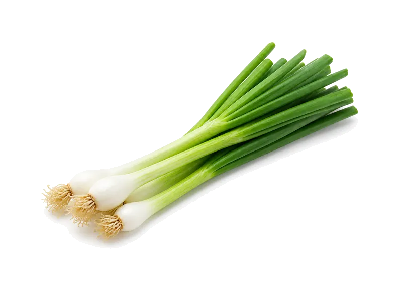 Dymka cebula – białko 1.8g, kalorie 32 kcal, węglowodany i tłuszcz na 100g | zdrowe odżywianie