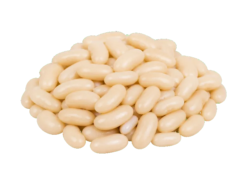 Fasola biała – białko 6g, kalorie 102 kcal, węglowodany i tłuszcz na 100g | zdrowe odżywianie