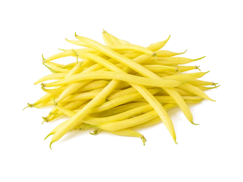 Fasola szparagowa żółta – białko 1.8g, kalorie 31 kcal, węglowodany i tłuszcz na 100g | zdrowe odżywianie