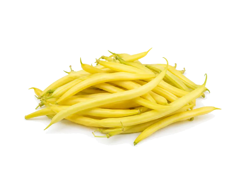 Fasolka szparagowa (żółta) – białko 1.8g, kalorie 31 kcal, węglowodany i tłuszcz na 100g | zdrowe odżywianie