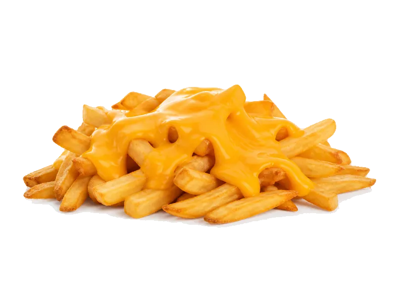 Frytki z serem (loaded) – białko 8g, kalorie 280 kcal, węglowodany i tłuszcz na 100g | zdrowe odżywianie