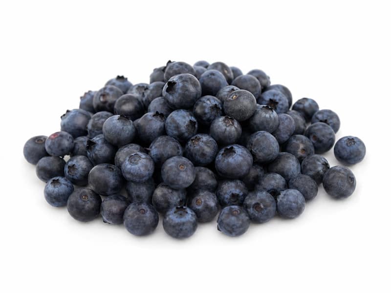 Jagody (borówki leśne) – białko 0.7g, kalorie 57 kcal, węglowodany i tłuszcz na 100g | zdrowe odżywianie
