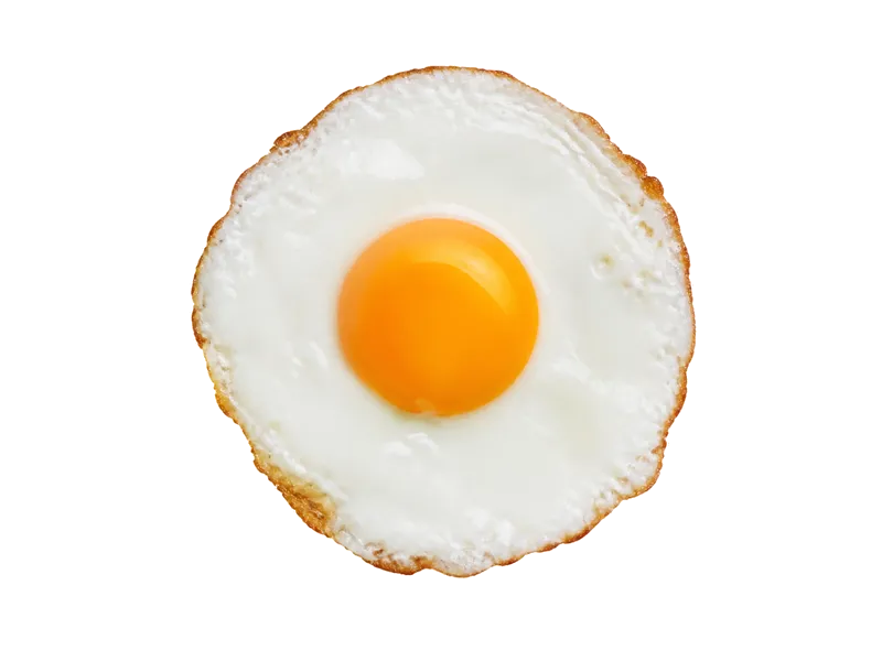 Jajko sadzone na oleju – białko 10g, kalorie 170 kcal, węglowodany i tłuszcz na 100g | zdrowe odżywianie