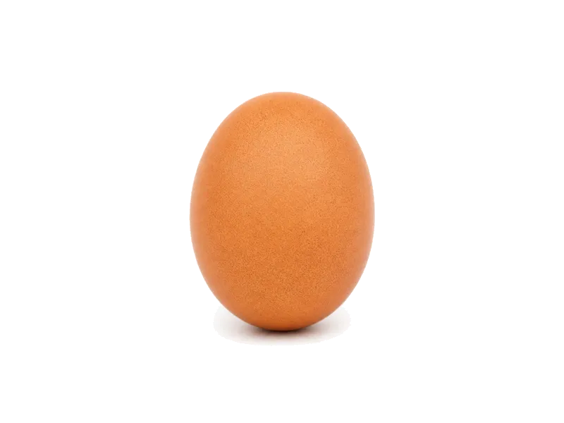 Jajo kurze (całe) – białko 12.6g, kalorie 143 kcal, węglowodany i tłuszcz na 100g | zdrowe odżywianie