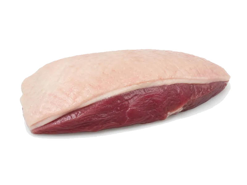 Kaczka (filet) – białko 19g, kalorie 201 kcal, węglowodany i tłuszcz na 100g | zdrowe odżywianie