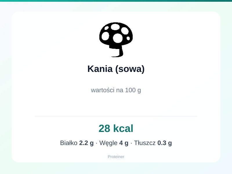 Kania (sowa) – białko 2.2g, kalorie 28 kcal, węglowodany i tłuszcz na 100g | zdrowe odżywianie