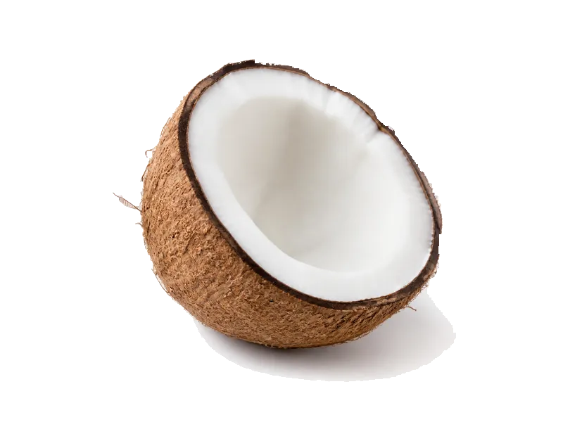 Kokos świeży – białko 3.3g, kalorie 354 kcal, węglowodany i tłuszcz na 100g | zdrowe odżywianie