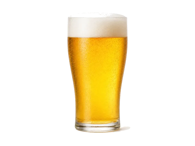 Lech Premium – białko 0.4g, kalorie 41 kcal, węglowodany i tłuszcz na 100g | zdrowe odżywianie