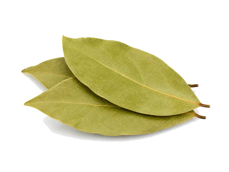 Liść laurowy – białko 8g, kalorie 313 kcal, węglowodany i tłuszcz na 100g | zdrowe odżywianie