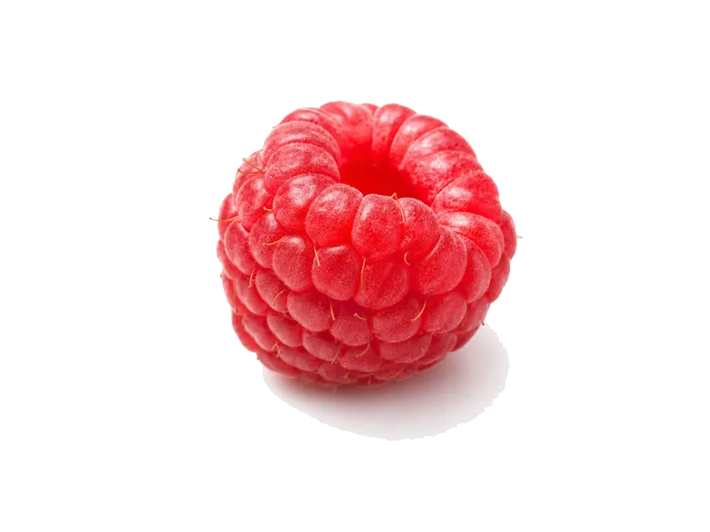 Maliny – białko 1.2g, kalorie 52 kcal, węglowodany i tłuszcz na 100g | zdrowe odżywianie