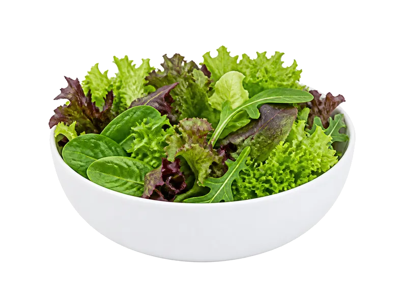 Mieszanka mix Sałat - Fit & Easy – białko 1.6g, kalorie 14 kcal, węglowodany i tłuszcz na 100g | zdrowe odżywianie