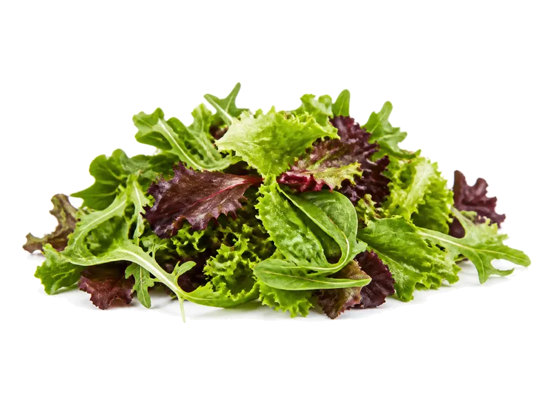 Mix Sałat – białko 1.2g, kalorie 16 kcal, węglowodany i tłuszcz na 100g | zdrowe odżywianie