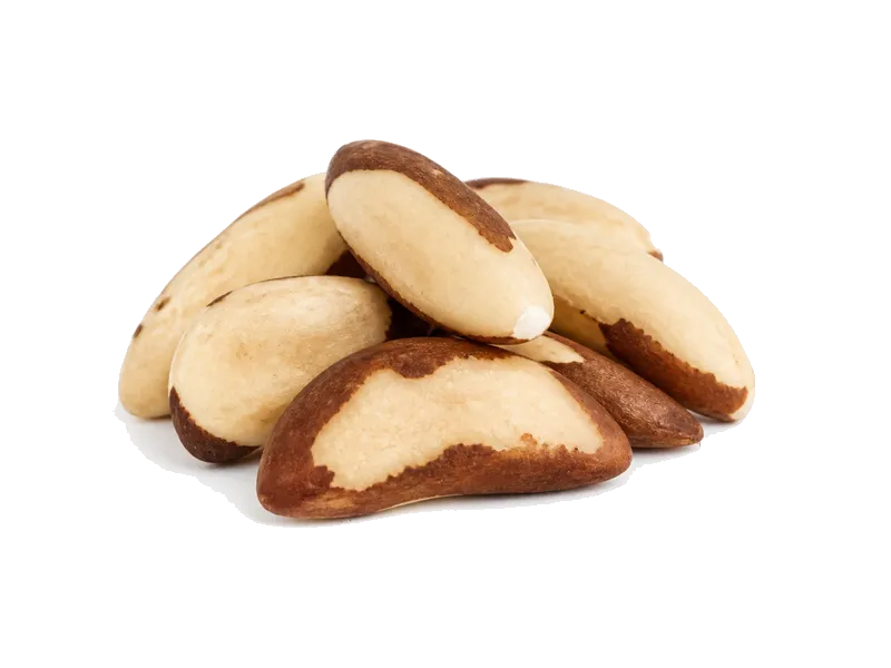Orzechy brazylijskie – białko 14g, kalorie 659 kcal, węglowodany i tłuszcz na 100g | zdrowe odżywianie