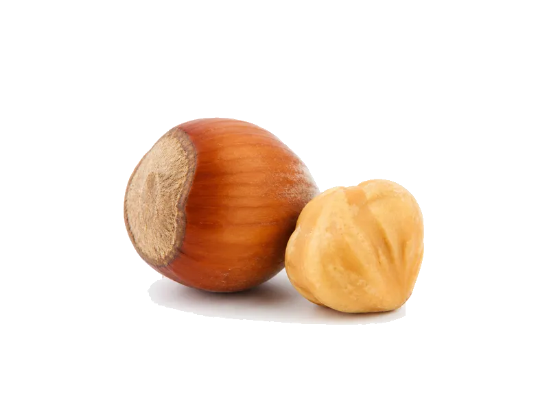 Orzechy laskowe – białko 15g, kalorie 628 kcal, węglowodany i tłuszcz na 100g | zdrowe odżywianie