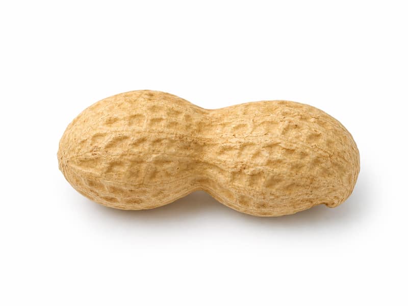 Orzechy ziemne – białko 26g, kalorie 567 kcal, węglowodany i tłuszcz na 100g | zdrowe odżywianie