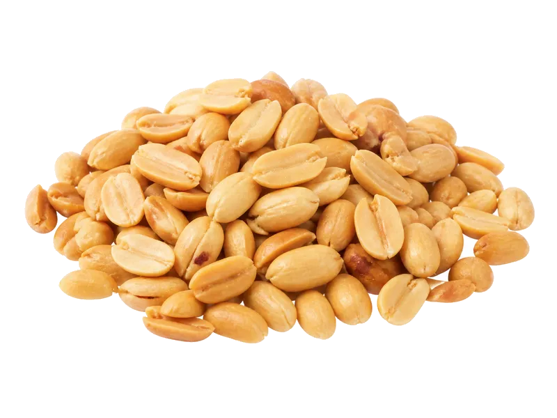 Orzeszki ziemne prażone bez soli – białko 23.7g, kalorie 585 kcal, węglowodany i tłuszcz na 100g | zdrowe odżywianie