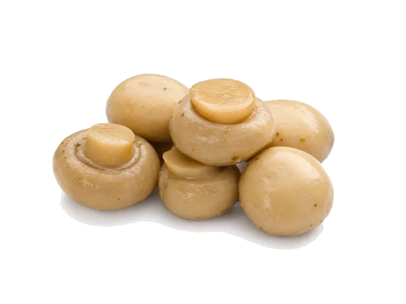Pieczarki marynowane – białko 1.5g, kalorie 22 kcal, węglowodany i tłuszcz na 100g | zdrowe odżywianie