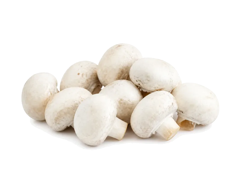 Pieczarki świeże – białko 3.1g, kalorie 22 kcal, węglowodany i tłuszcz na 100g | zdrowe odżywianie