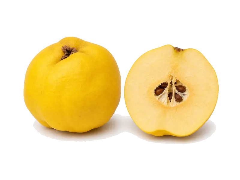 Pigwa – białko 0.4g, kalorie 57 kcal, węglowodany i tłuszcz na 100g | zdrowe odżywianie