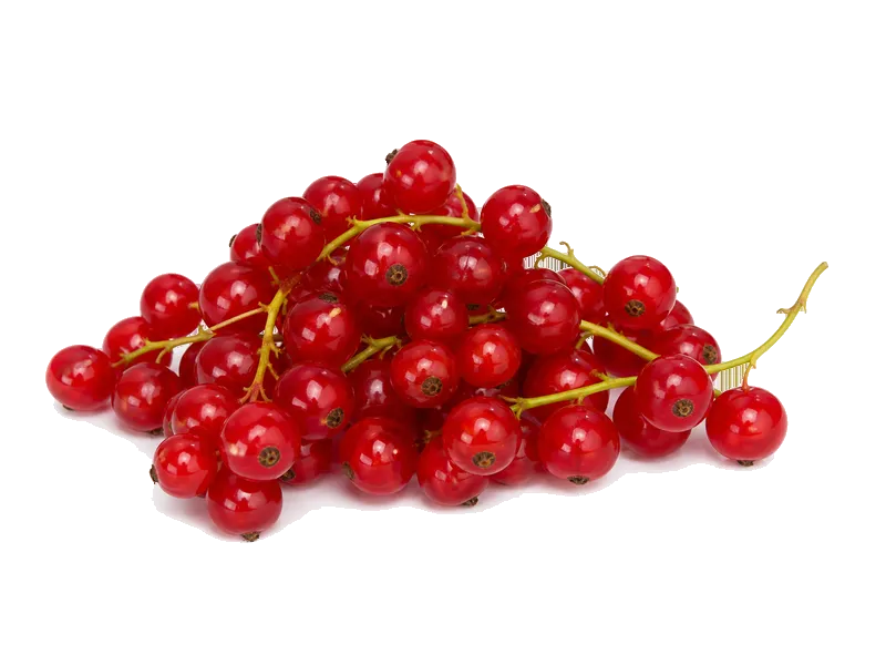 Porzeczki czerwone – białko 1.2g, kalorie 56 kcal, węglowodany i tłuszcz na 100g | zdrowe odżywianie