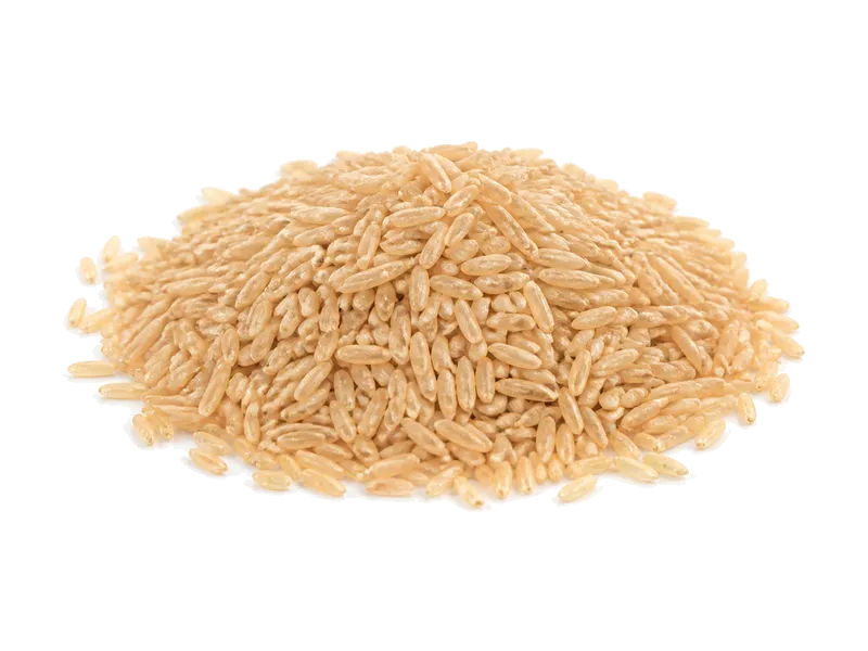 Ryż brązowy (nieugotowany) – białko 7.7g, kalorie 354 kcal, węglowodany i tłuszcz na 100g | zdrowe odżywianie