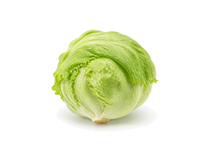 Sałata lodowa – białko 0.9g, kalorie 14 kcal, węglowodany i tłuszcz na 100g | zdrowe odżywianie