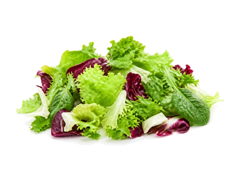 Sałata mix – białko 0.8g, kalorie 18 kcal, węglowodany i tłuszcz na 100g | zdrowe odżywianie