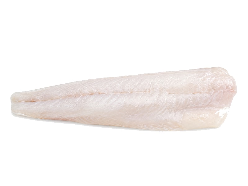Sandacz – białko 19g, kalorie 84 kcal, węglowodany i tłuszcz na 100g | zdrowe odżywianie