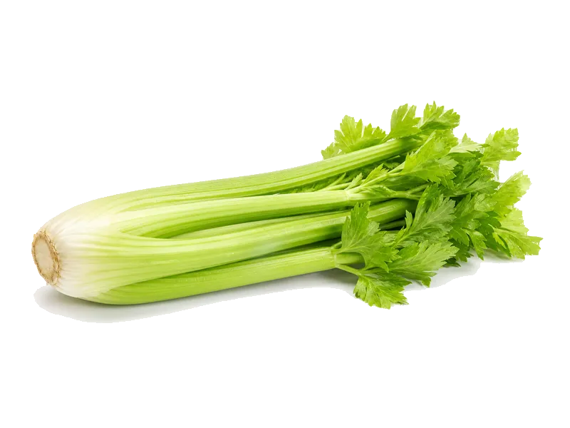 Seler naciowy – białko 0.7g, kalorie 16 kcal, węglowodany i tłuszcz na 100g | zdrowe odżywianie