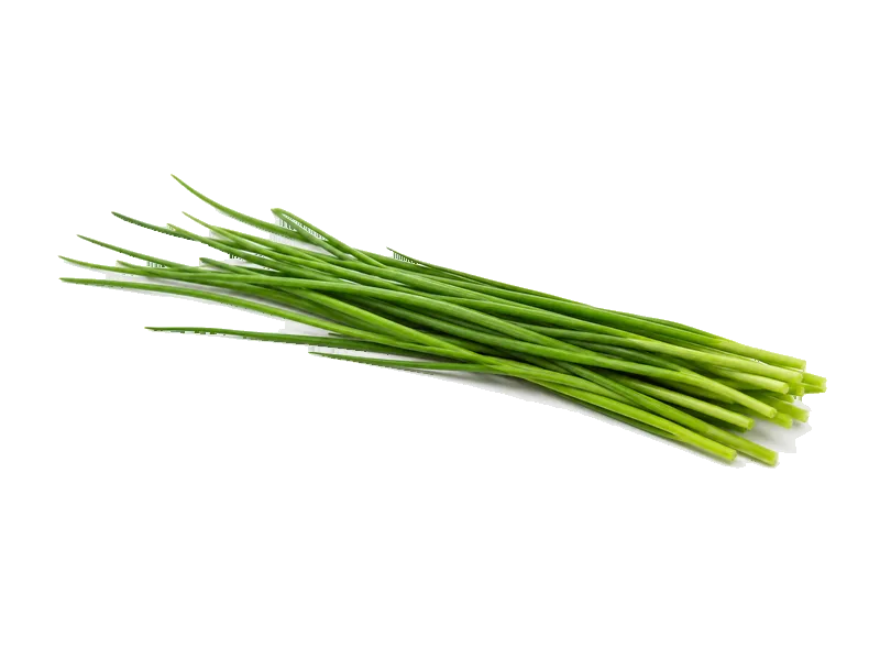 Szczypiorek – białko 1.8g, kalorie 32 kcal, węglowodany i tłuszcz na 100g | zdrowe odżywianie