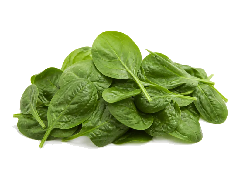 Szpinak świeży – białko 2.9g, kalorie 23 kcal, węglowodany i tłuszcz na 100g | zdrowe odżywianie