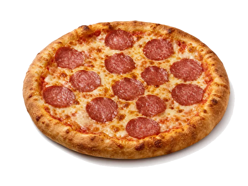 Wagner Steinofen Salami – białko 10g, kalorie 248 kcal, węglowodany i tłuszcz na 100g | zdrowe odżywianie