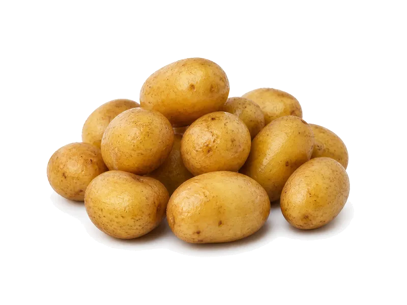 Ziemniaki młode (gotowane) – białko 1.8g, kalorie 71 kcal, węglowodany i tłuszcz na 100g | zdrowe odżywianie